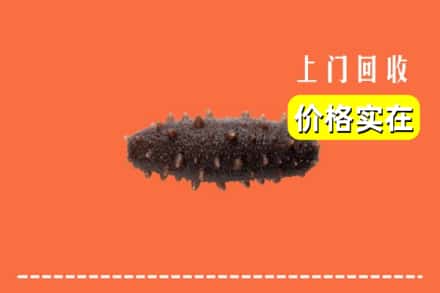 广州黄埔区回收海参