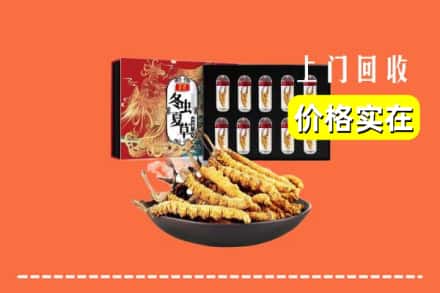 广州黄埔区回收虫草